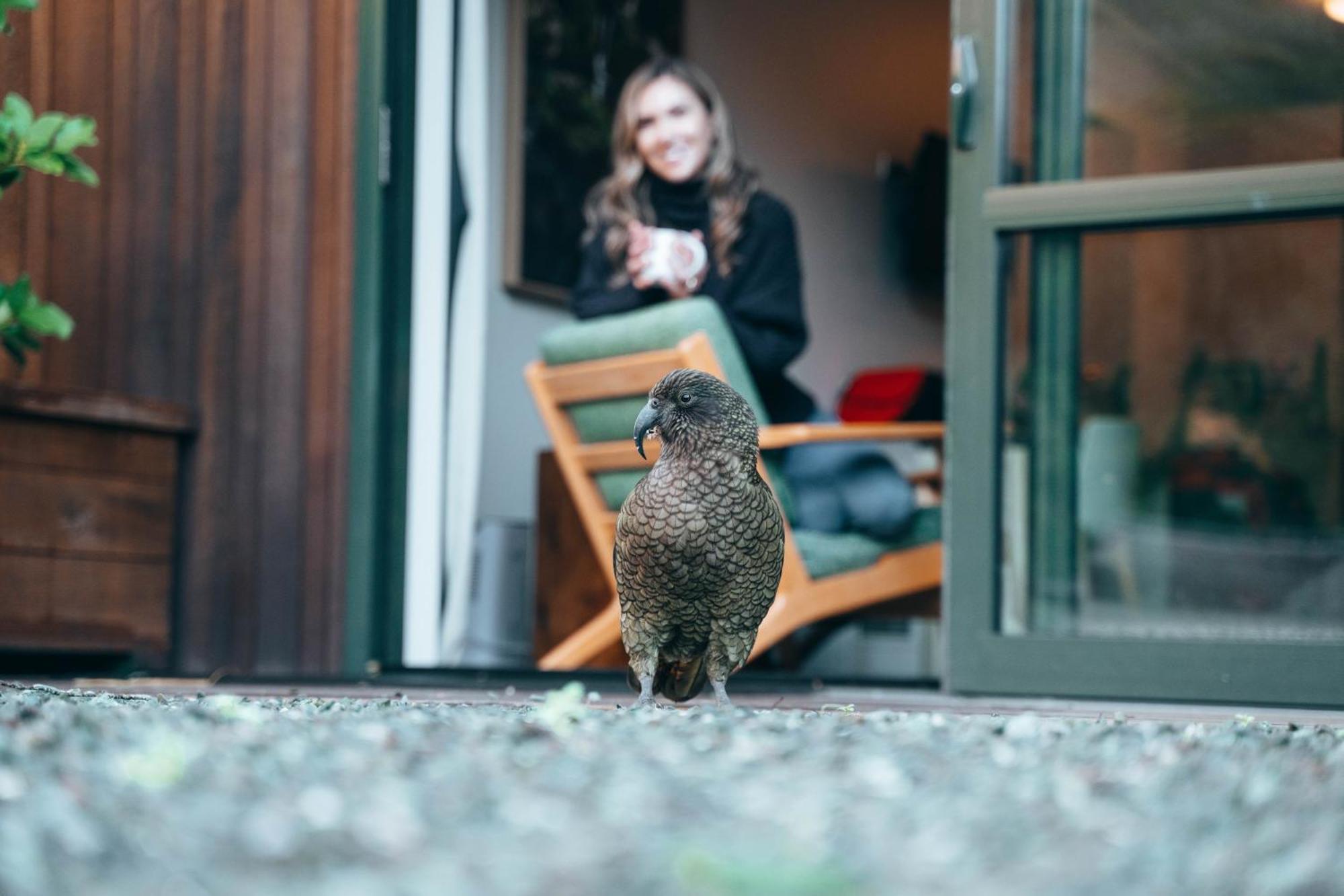 Milford Sound Lodge מראה חיצוני תמונה