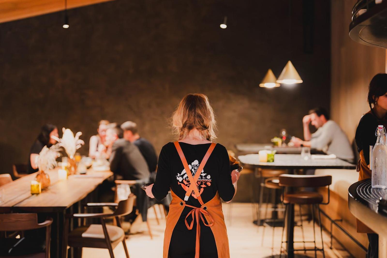 Milford Sound Lodge מראה חיצוני תמונה